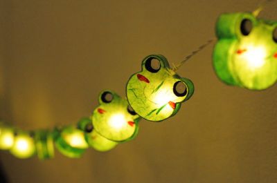 frog themed string lights