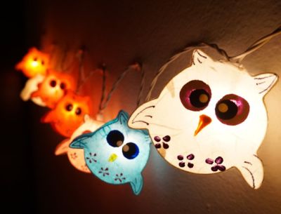 owl string lights